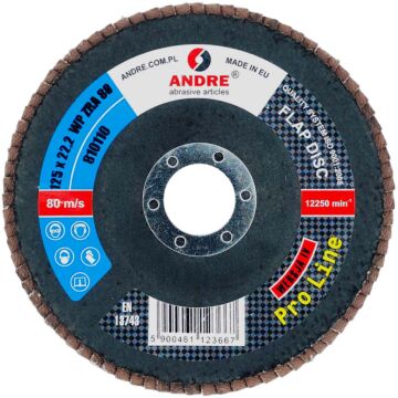 ŚCIERNICA LAMEL. 125 X 22,23 ZRA "80" PRO LINE WERSJA IV