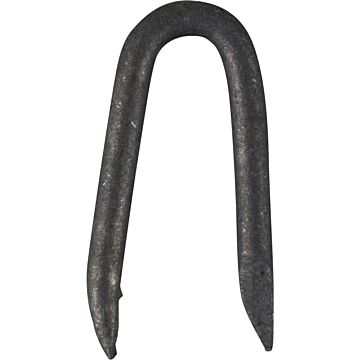 GWÓZDZ SKOBEL 25-2,50 AZ HDG /470/8/